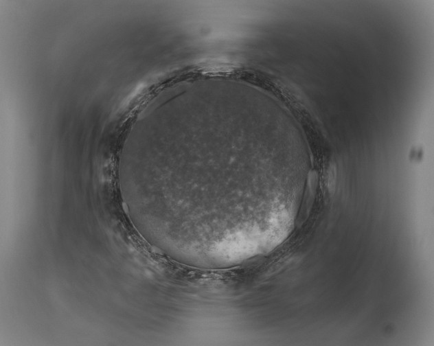 X0000115291445200911161623