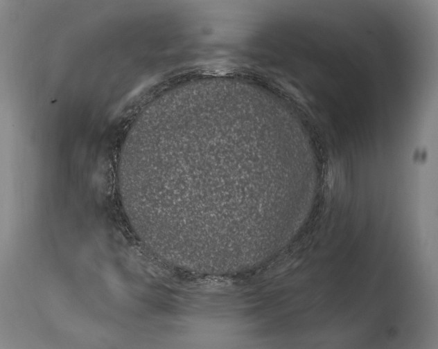 X0000115291446200911161623
