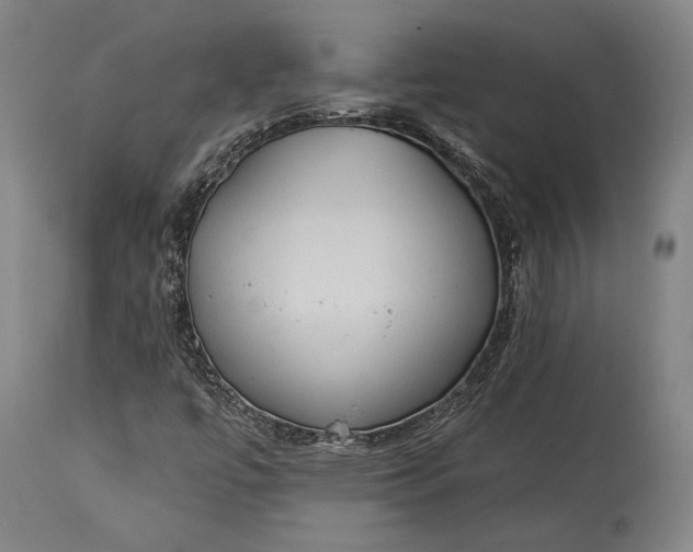 X0000115291447200911161623