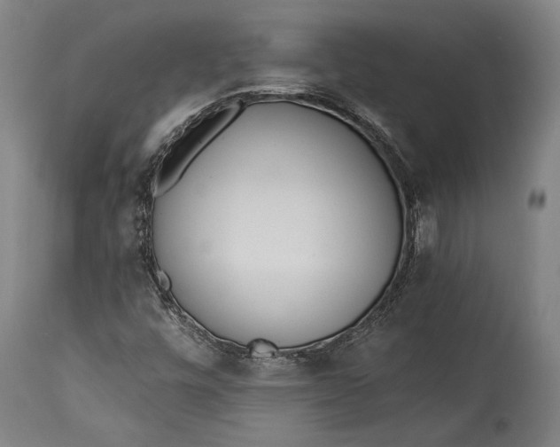 X0000115291448200911161623