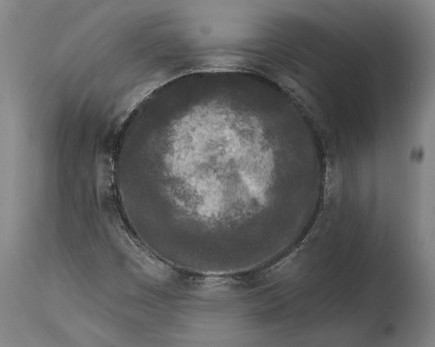 X0000115291449200911161623