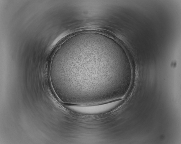 X0000115291450200911161623