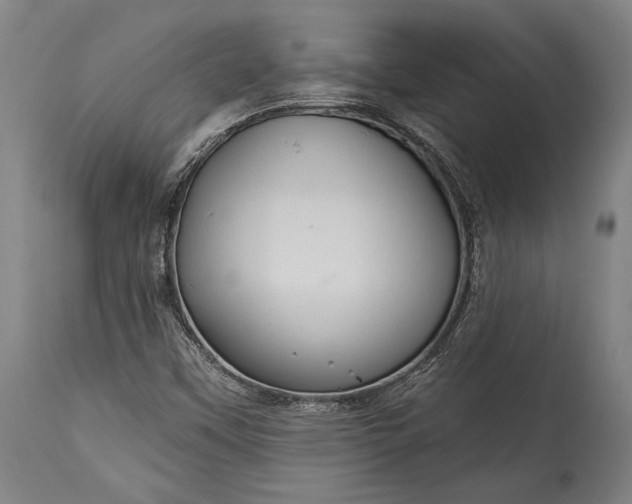 X0000115291451200911161623