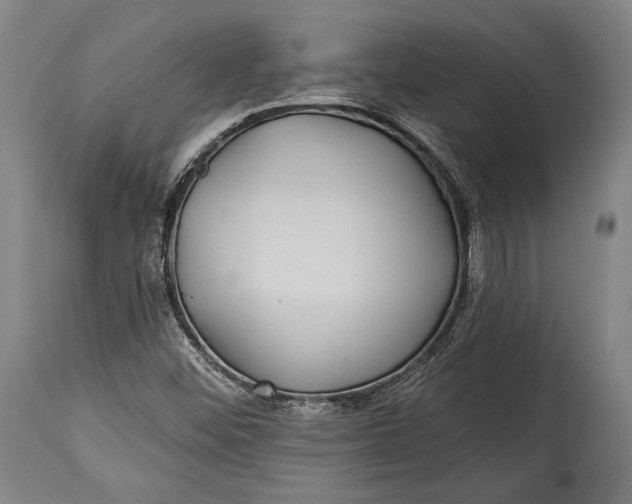 X0000115291452200911161623
