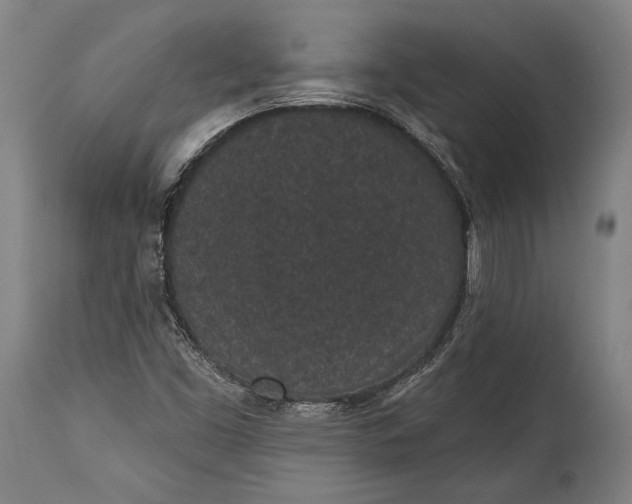 X0000115291453200911161623