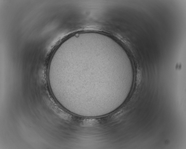 X0000115291454200911161623