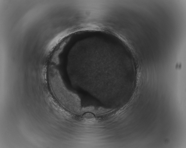 X0000115291455200911161623