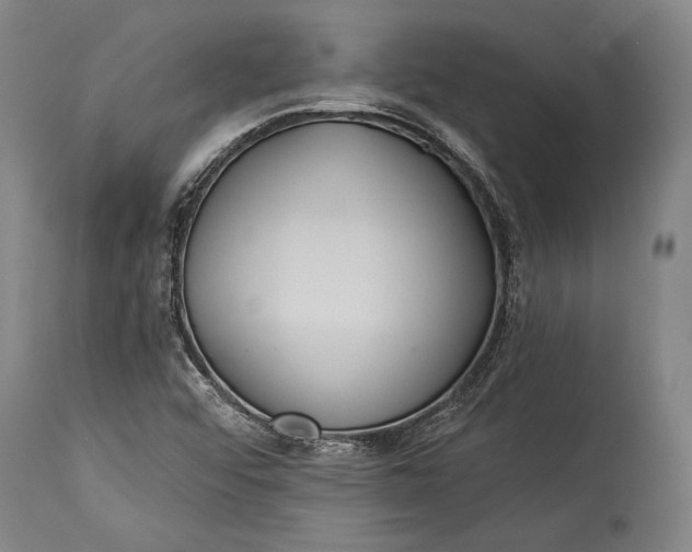 X0000115291456200911161623
