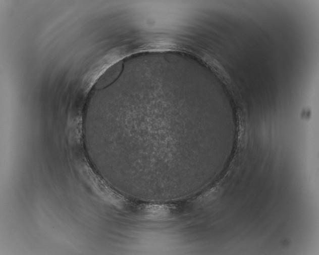 X0000115291457200911161623