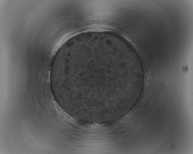 X0000115291459200911161623