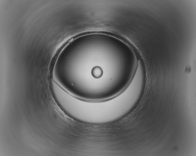 X0000115291460200911161623