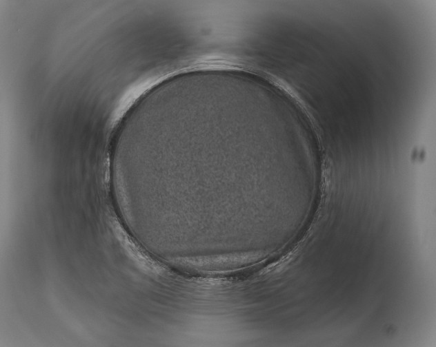 X0000115291461200911161623