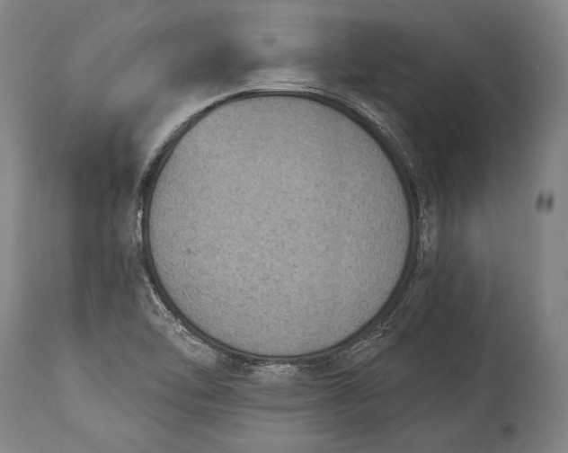 X0000115291462200911161623