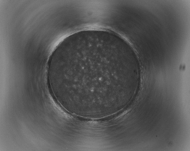 X0000115291463200911161623