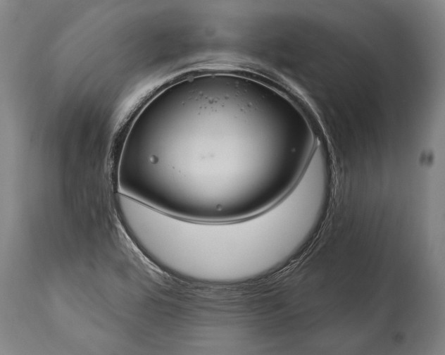 X0000115291464200911161623