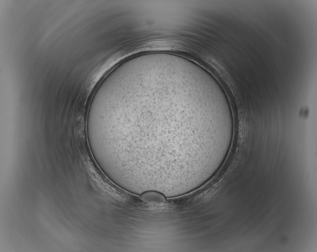 X0000115291465200911161623