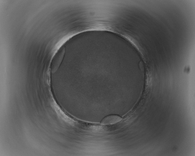 X0000115291468200911161623