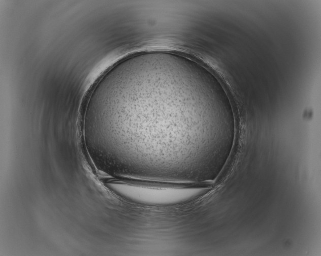 X0000115291469200911161623