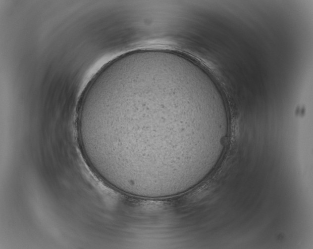 X0000115291470200911161623