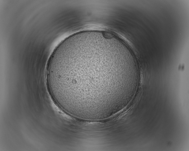 X0000115291471200911161623