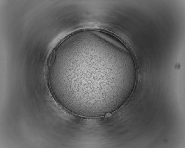 X0000115291472200911161623