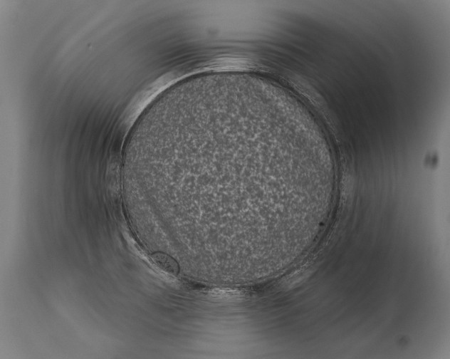 X0000115291473200911161623
