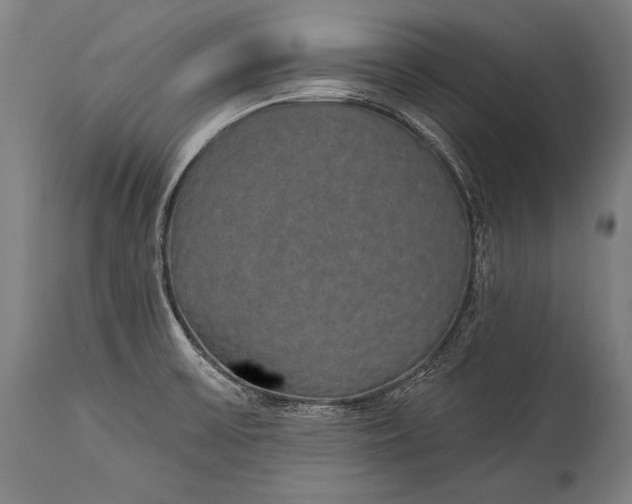 X0000115291475200911161623