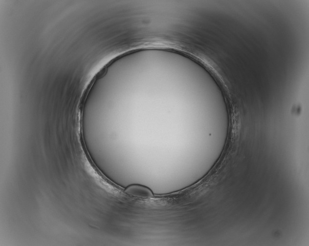 X0000115291476200911161623