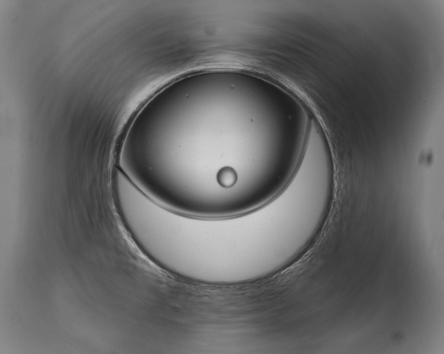 X0000115291477200911161623