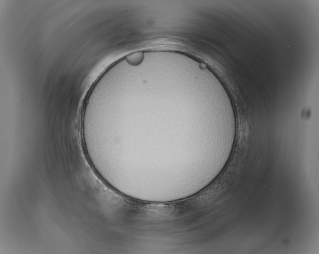 X0000115291478200911161623