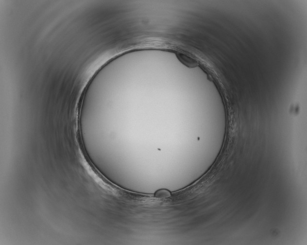 X0000115291479200911161623