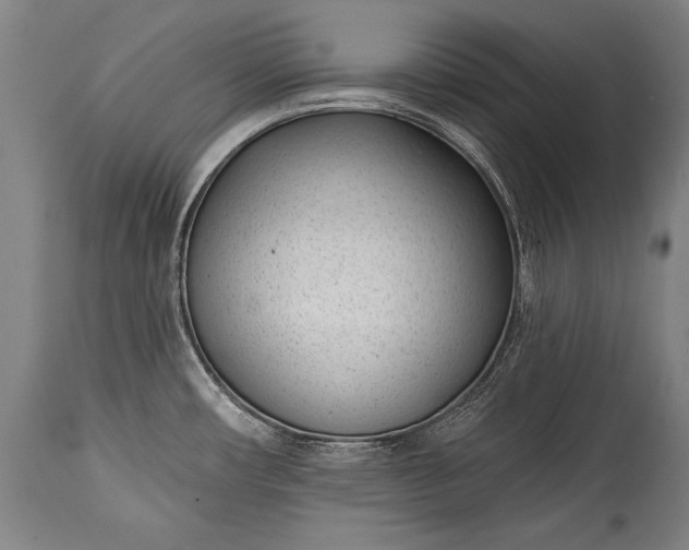 X0000115291482200911161623