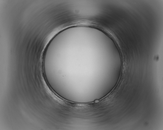 X0000115291483200911161623
