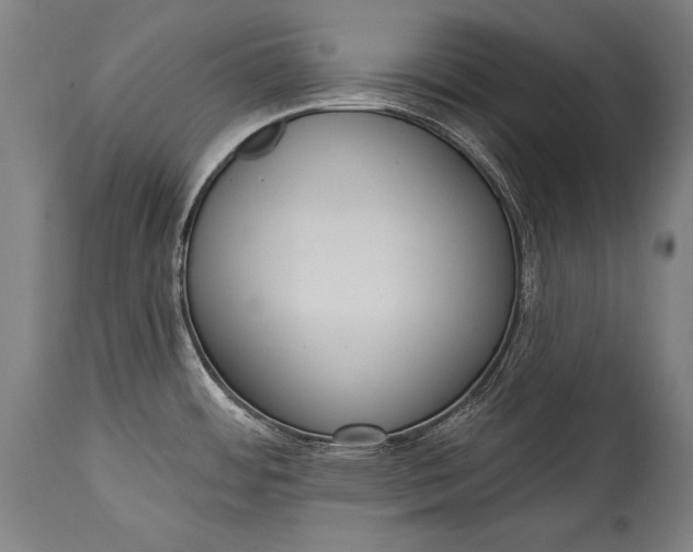 X0000115291484200911161623