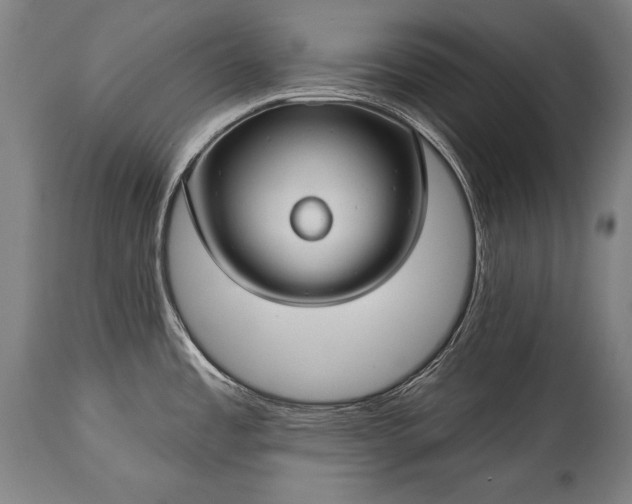 X0000115291485200911161623