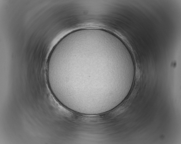 X0000115291486200911161622