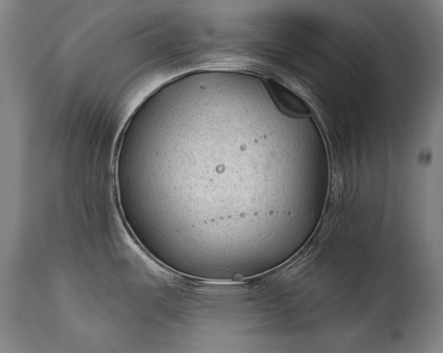 X0000115291487200911161622
