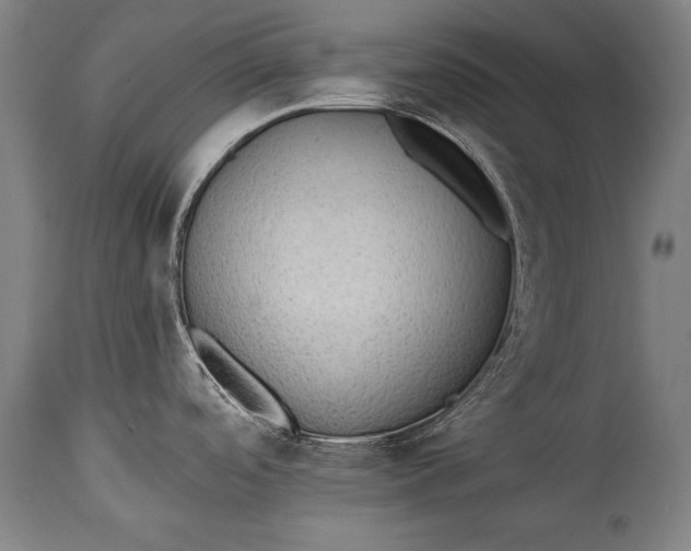 X0000115291488200911161622
