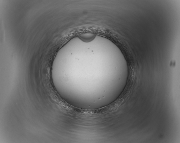 X0000115291489200911161622