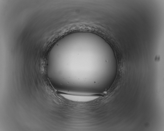 X0000115291490200911161622