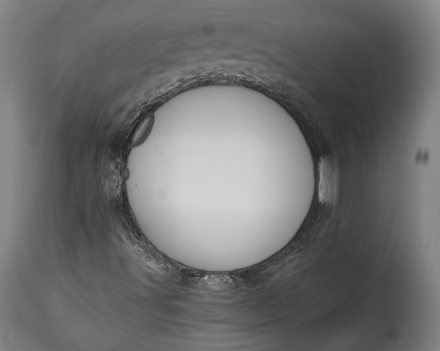 X0000115291491200911161622