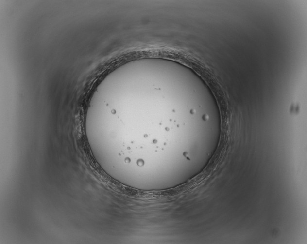 X0000115291493200911161622