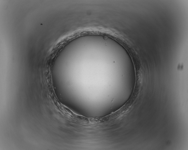 X0000115291494200911161622