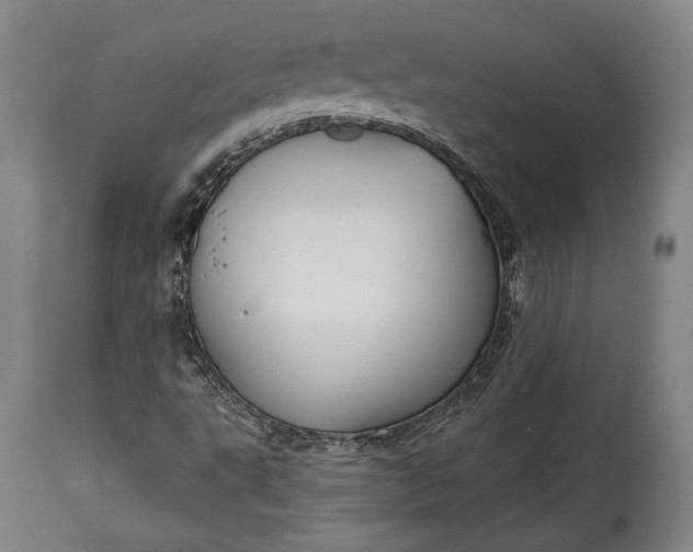 X0000115291495200911161622
