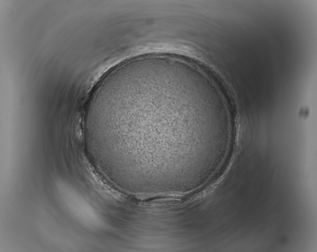 X0000115291497200911161622