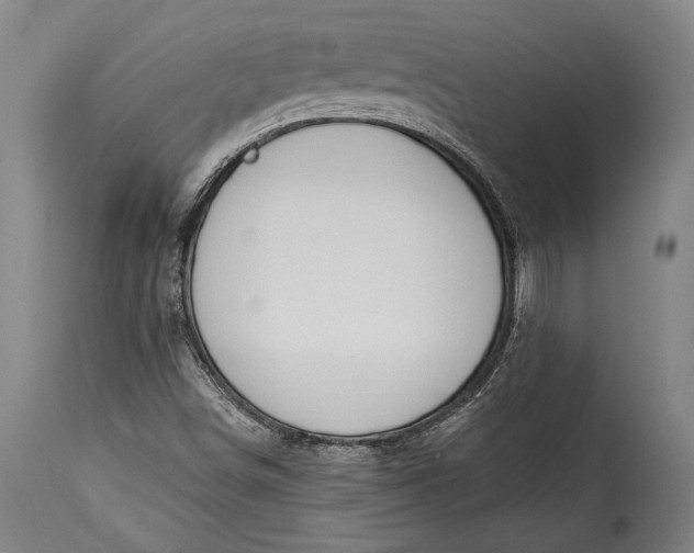 X0000115291498200911161622