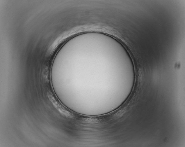 X0000115291499200911161622
