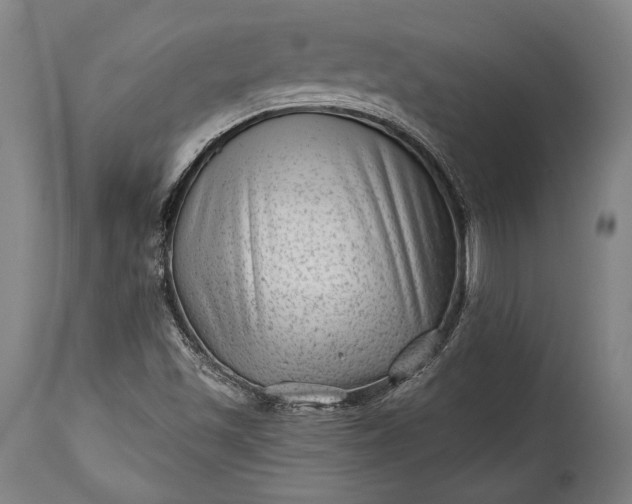 X0000115291501200911161622