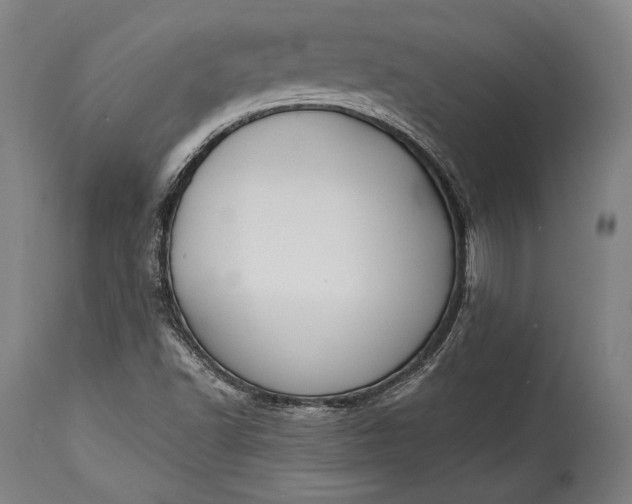 X0000115291502200911161622