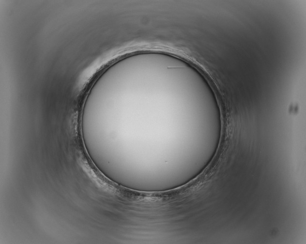 X0000115291503200911161622